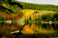 Bear Lake, Rocky Mtn Nat'l Park, Late September