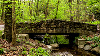 Stone Bridge Walhalla Ravine
