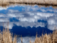 Clouds in a Pond