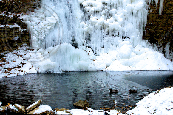 Hayden Falls Frozen 2