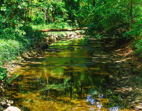 Adena Brook in the Overbrook Ravine, May 2016