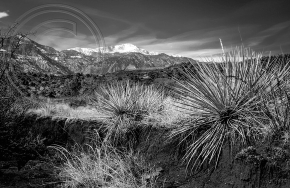 Pikes Peak and Contrails in Black and White