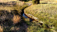 Small Stream, Ute Valley Park, Colorado Springs, Colorado