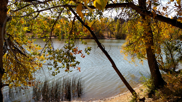 Autumn at Quail Lake, Colorado Springs, Colorado