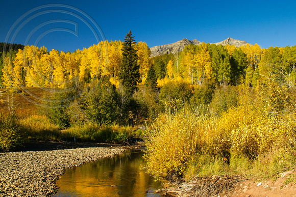 Autumn Color Reflected in a Stream (Ohio or Coal Creek) Near Crested Butte, Colorado