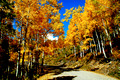 Autumn Road, Colorado