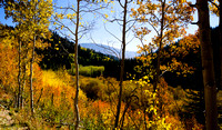 Autumn Color, Weston Pass, Colorado
