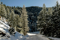 Road through North Cheyenne Canyon