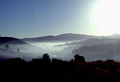 Morning Fog near Durango, Colorado