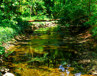 Adena Brook in the Overbrook Ravine, May 2016
