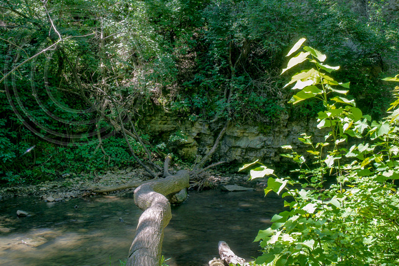 10. Hayden Run Creek, Columbus, Ohio, 6 June 2014